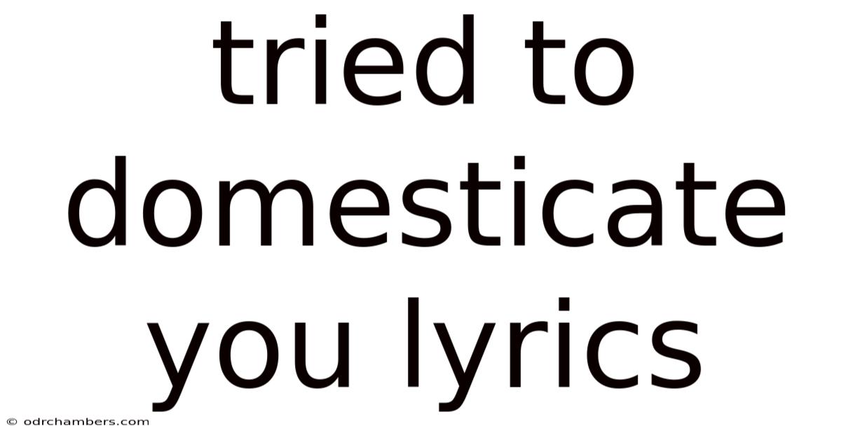 Tried To Domesticate You Lyrics