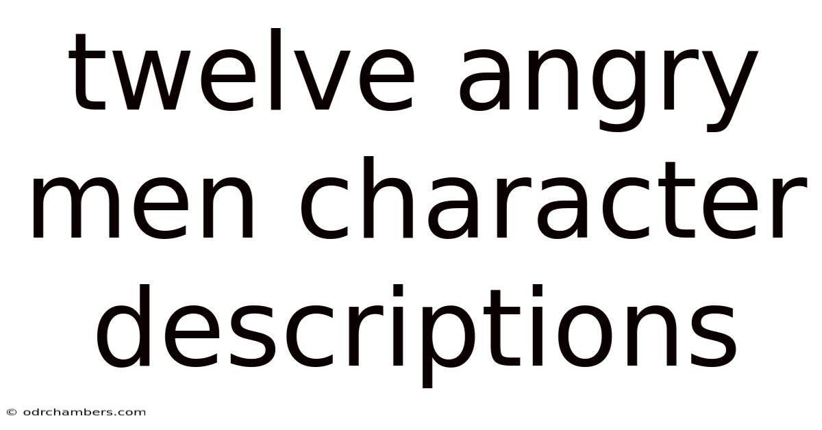 Twelve Angry Men Character Descriptions