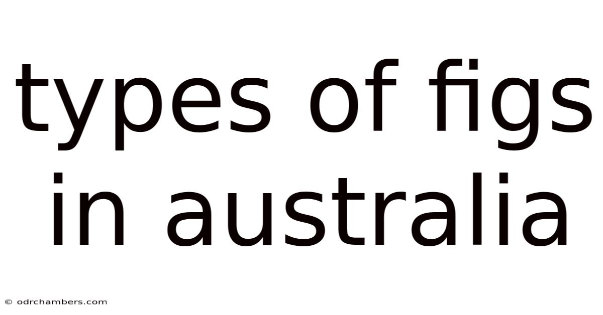 Types Of Figs In Australia