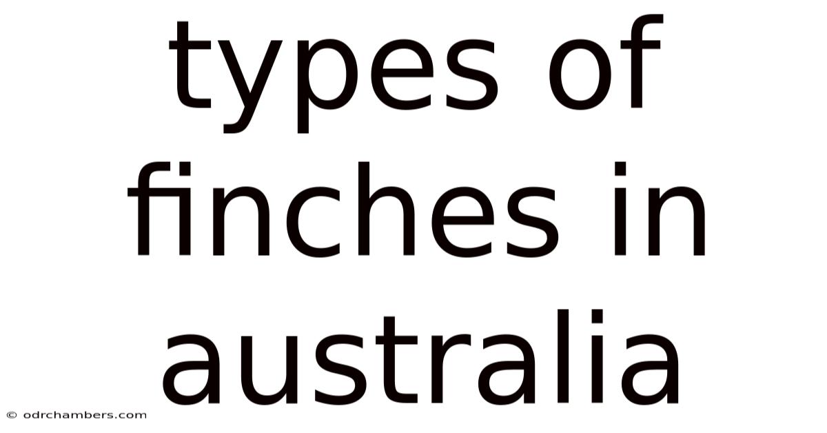 Types Of Finches In Australia