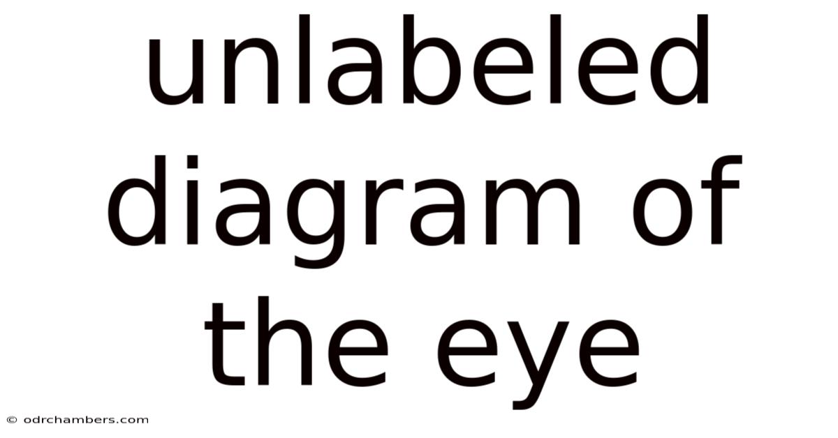 Unlabeled Diagram Of The Eye