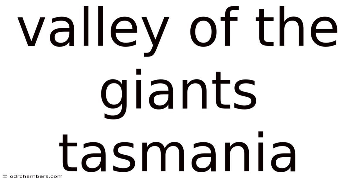 Valley Of The Giants Tasmania