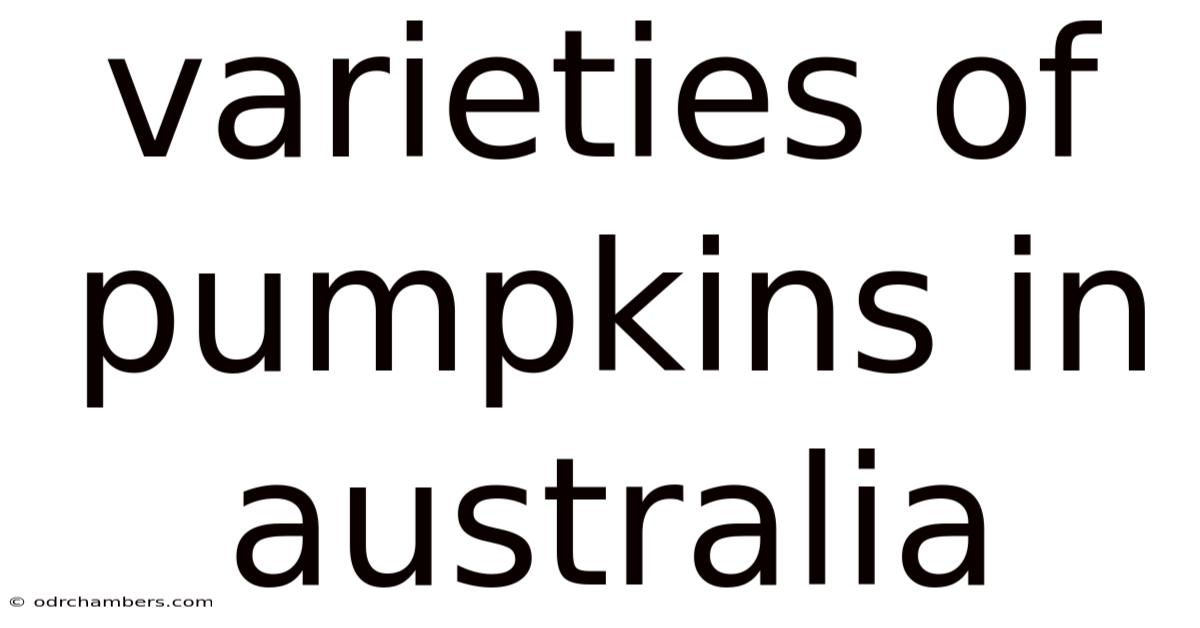 Varieties Of Pumpkins In Australia