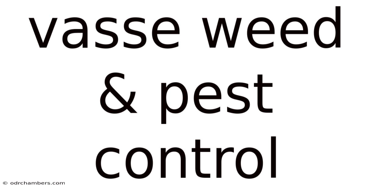 Vasse Weed & Pest Control