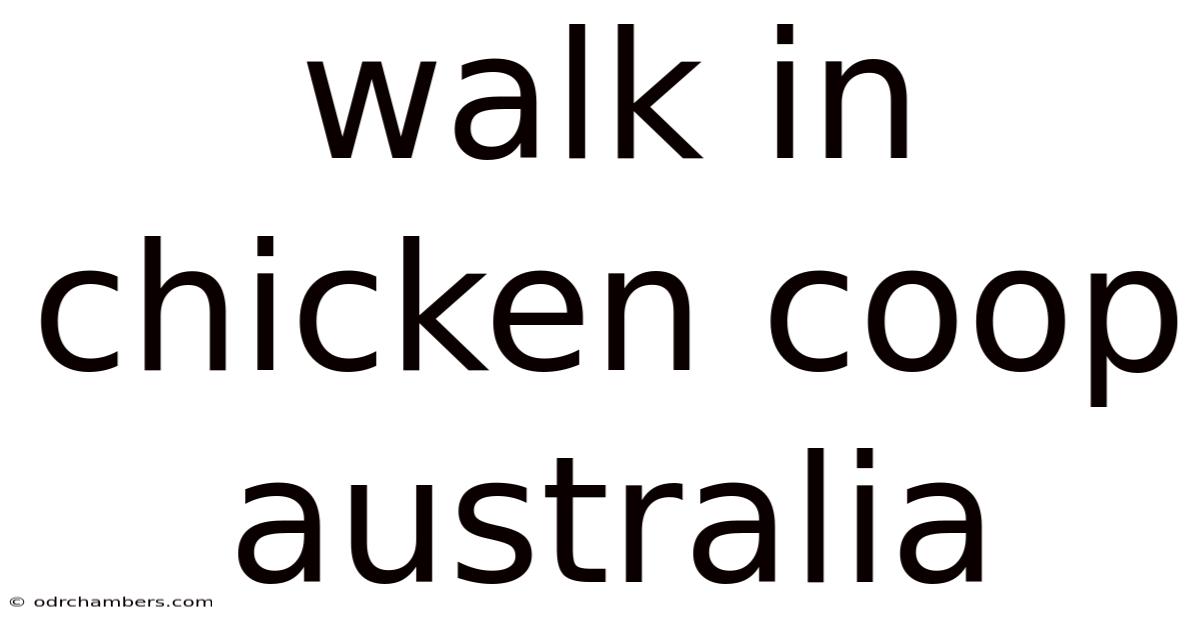 Walk In Chicken Coop Australia