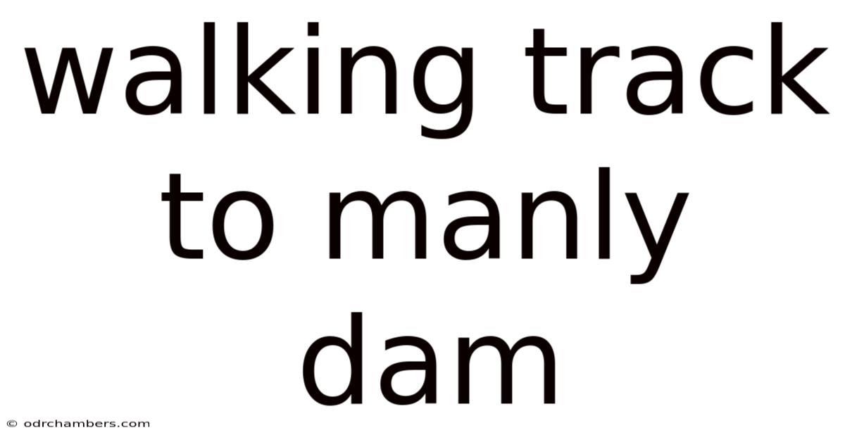 Walking Track To Manly Dam