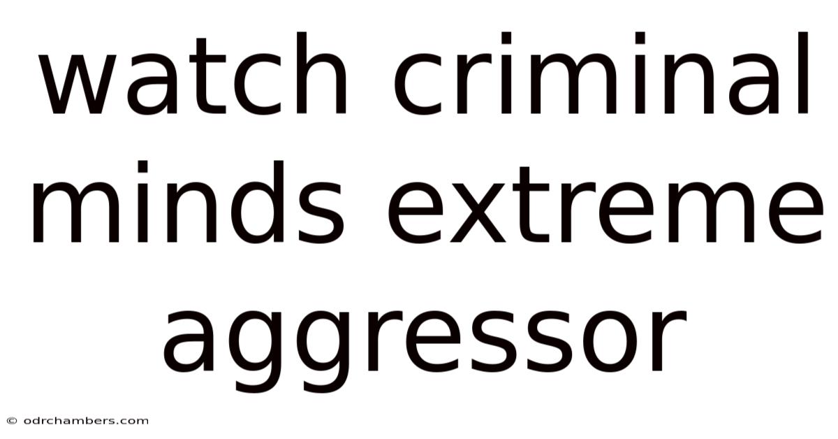 Watch Criminal Minds Extreme Aggressor