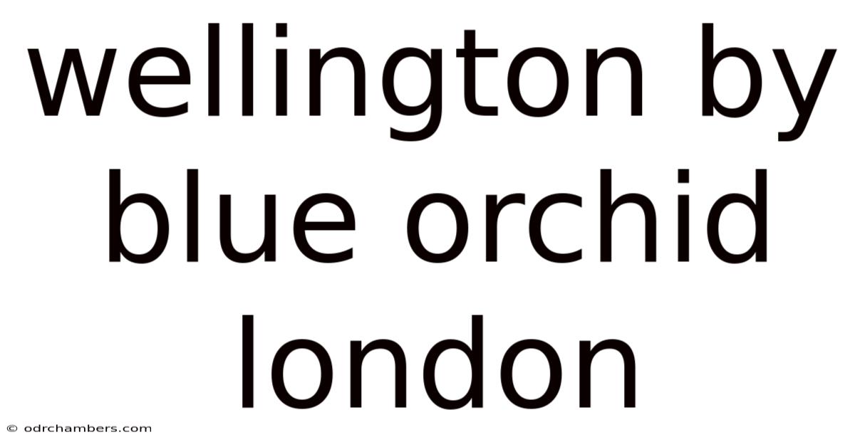 Wellington By Blue Orchid London