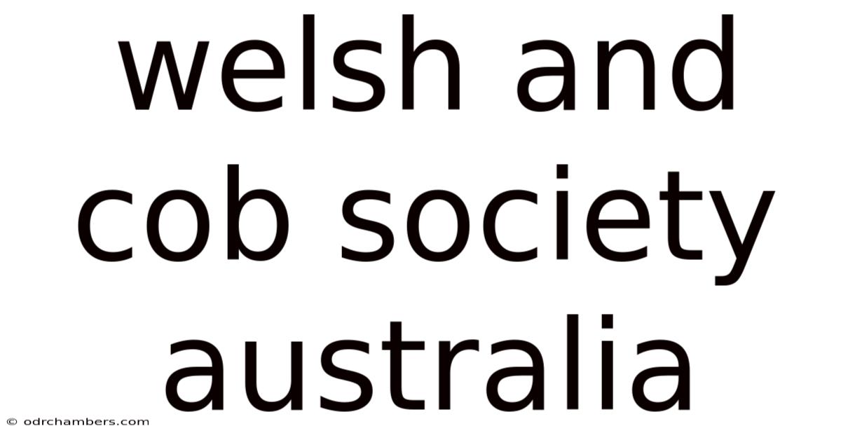 Welsh And Cob Society Australia