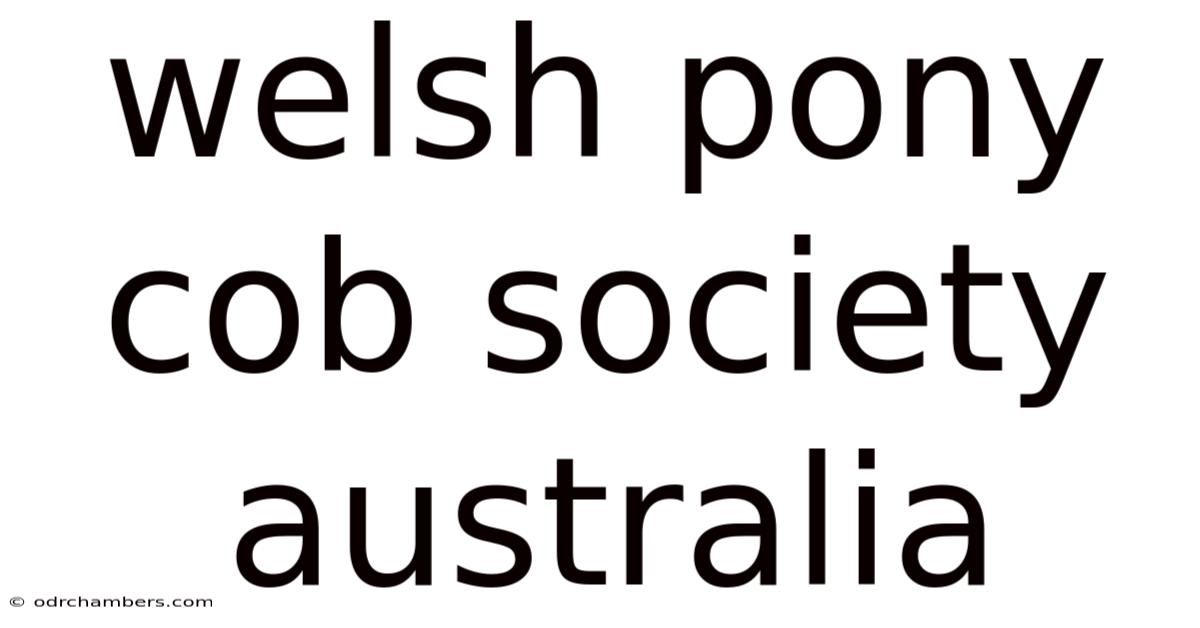 Welsh Pony Cob Society Australia