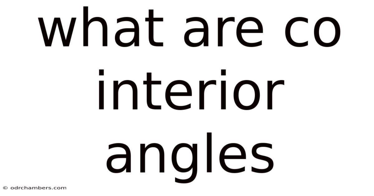 What Are Co Interior Angles