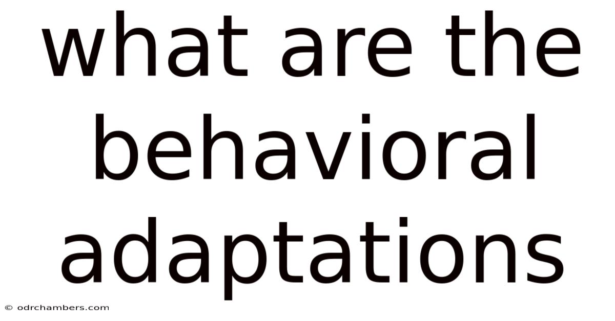 What Are The Behavioral Adaptations