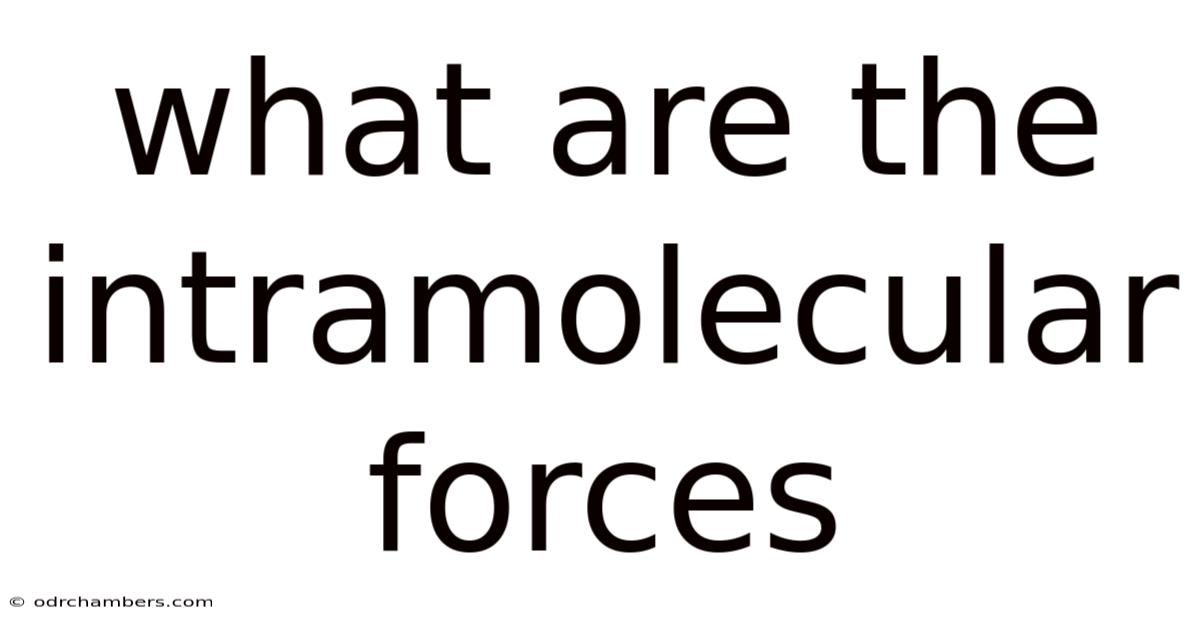What Are The Intramolecular Forces