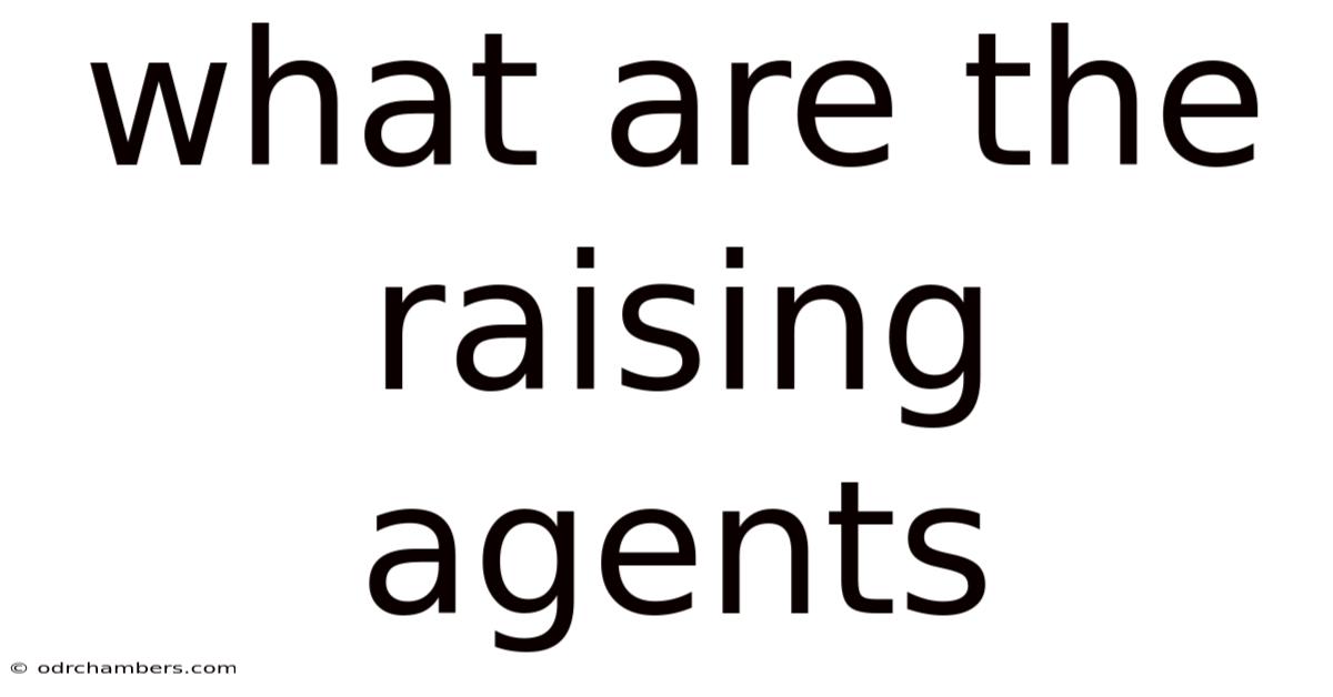What Are The Raising Agents