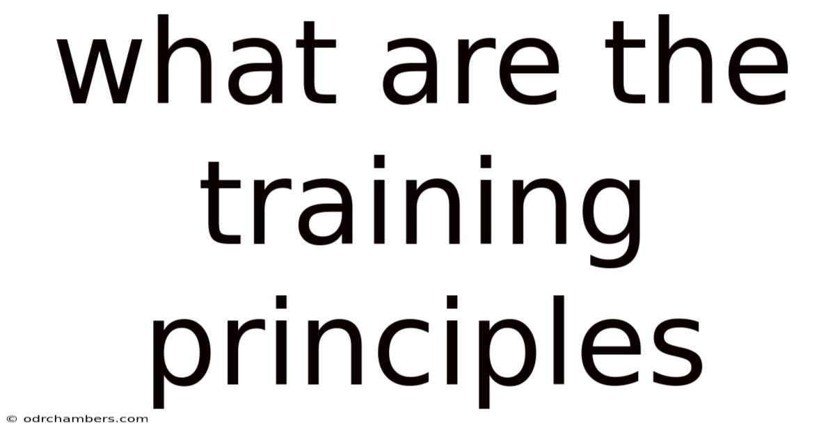 What Are The Training Principles