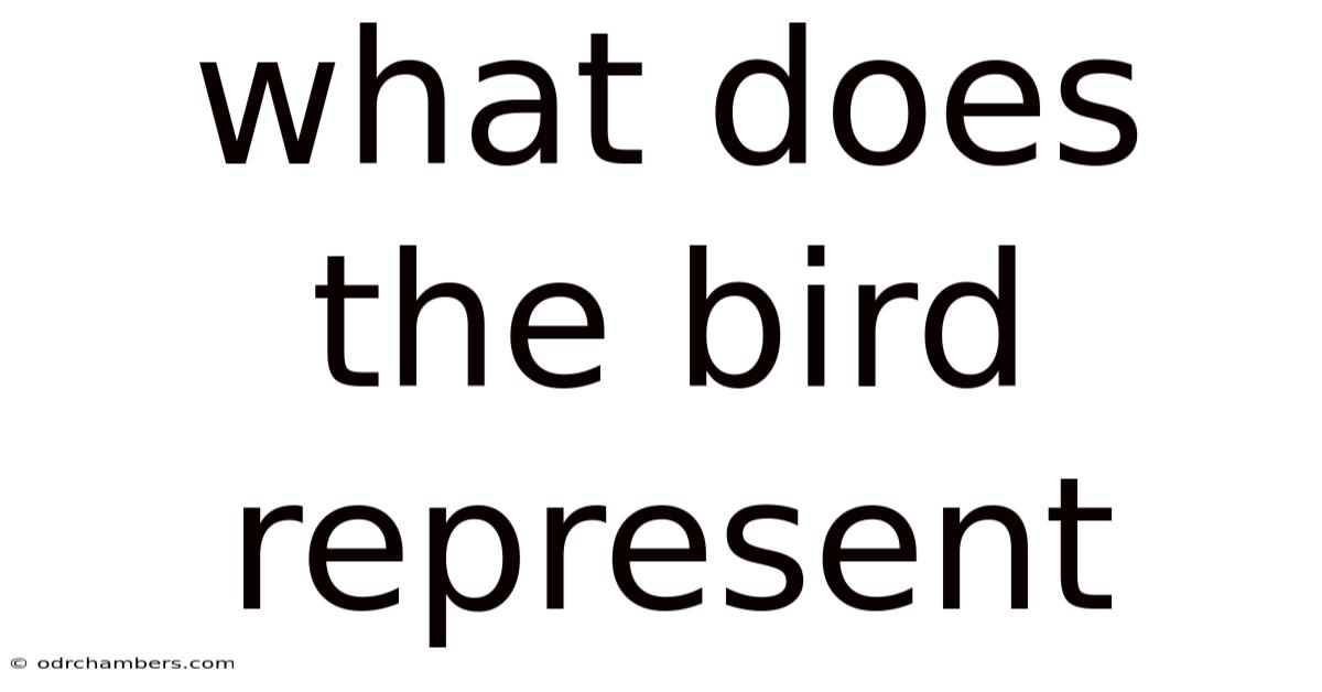 What Does The Bird Represent