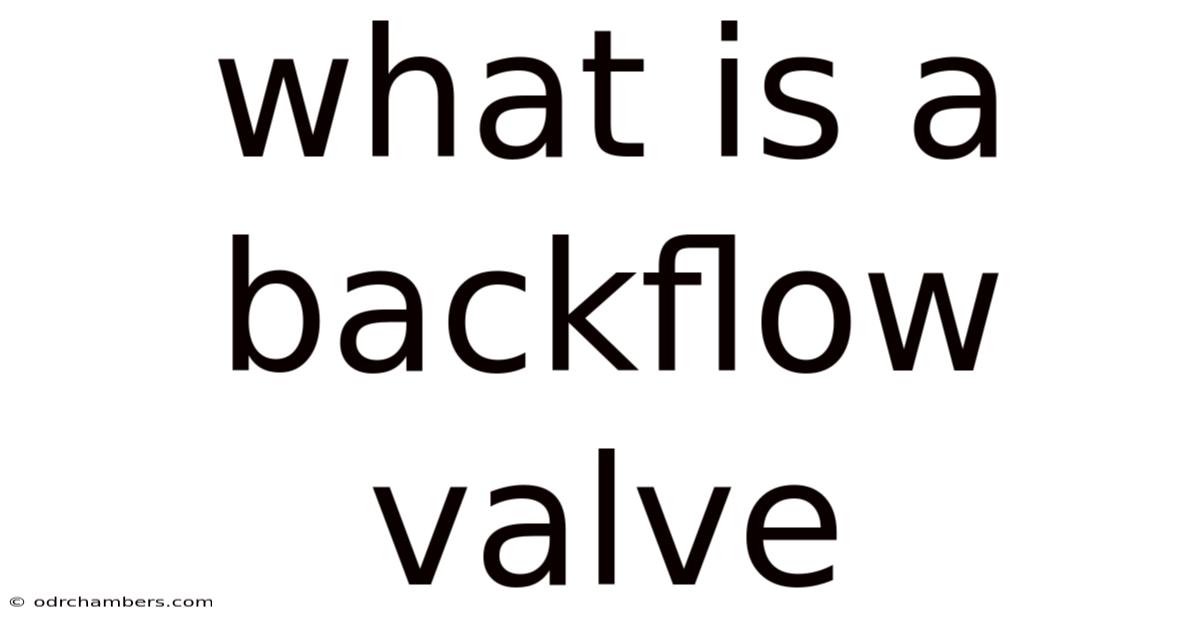 What Is A Backflow Valve