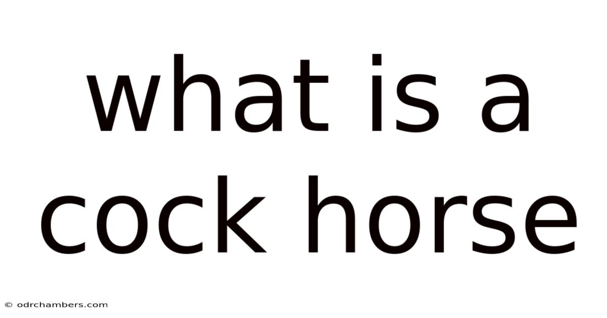 What Is A Cock Horse