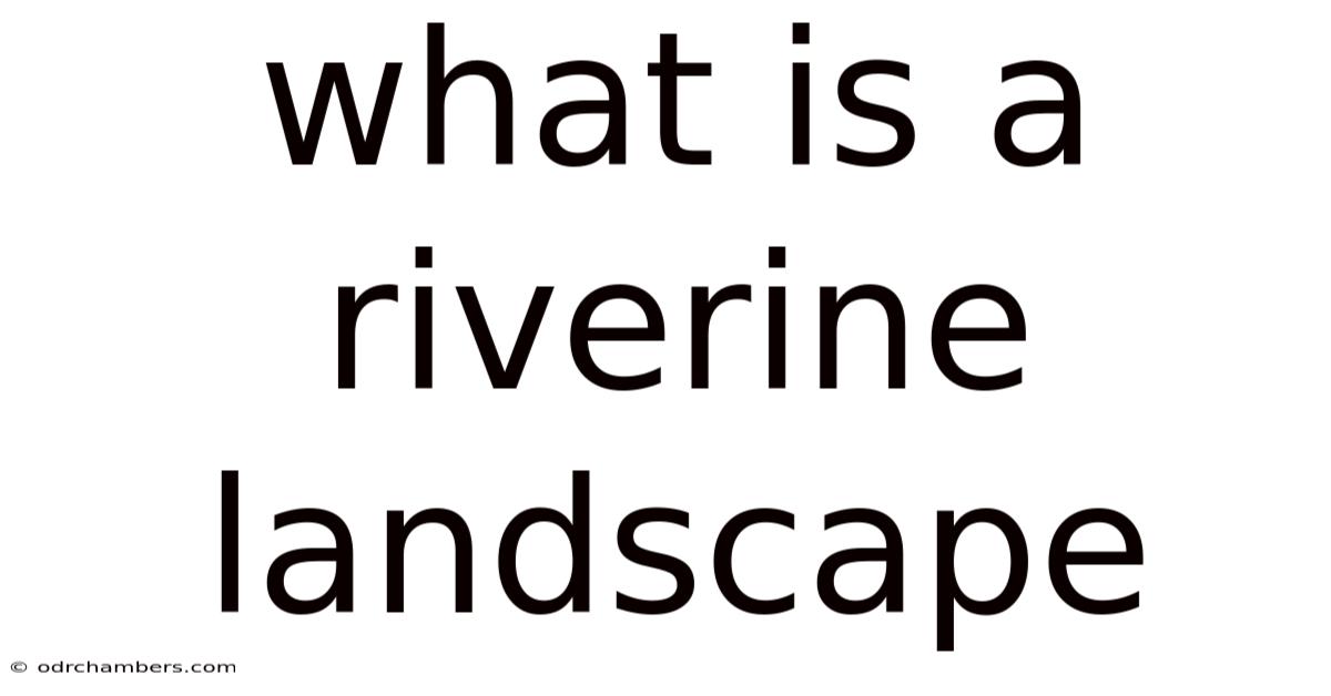 What Is A Riverine Landscape