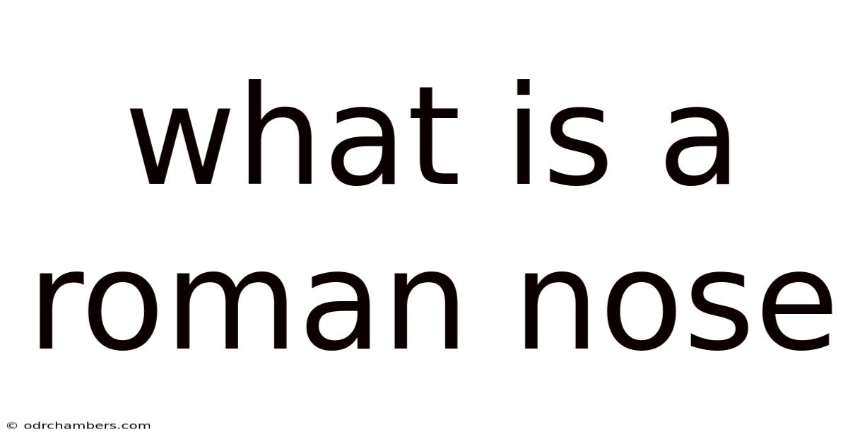 What Is A Roman Nose