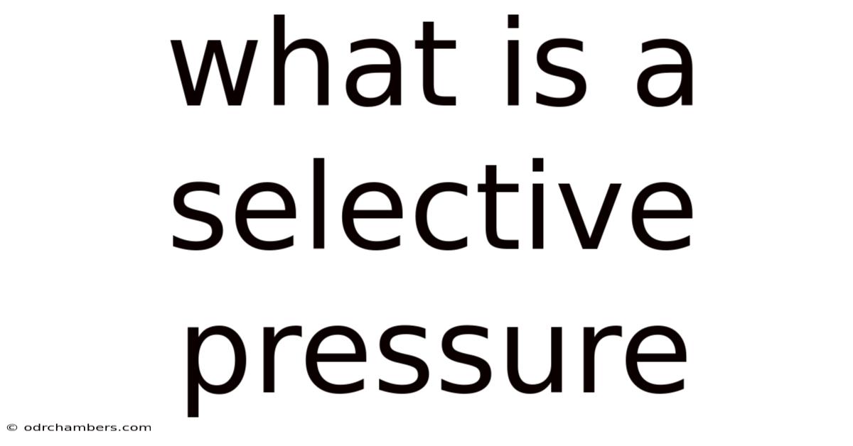 What Is A Selective Pressure