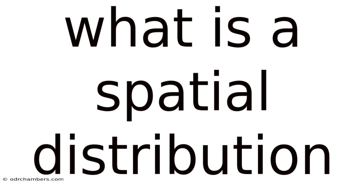 What Is A Spatial Distribution