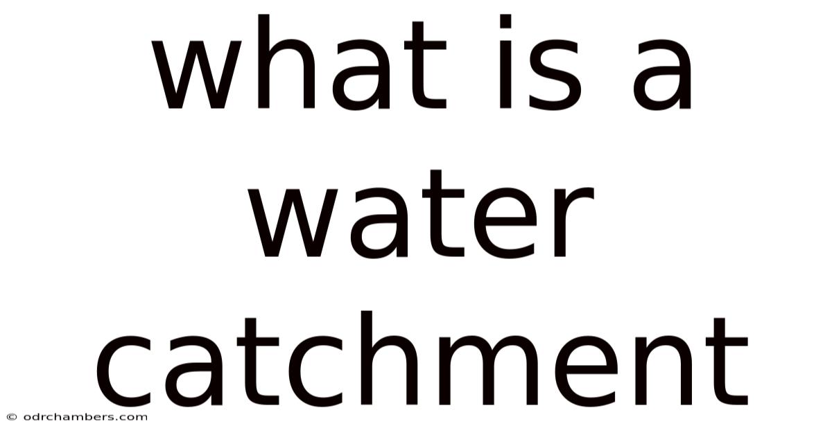 What Is A Water Catchment
