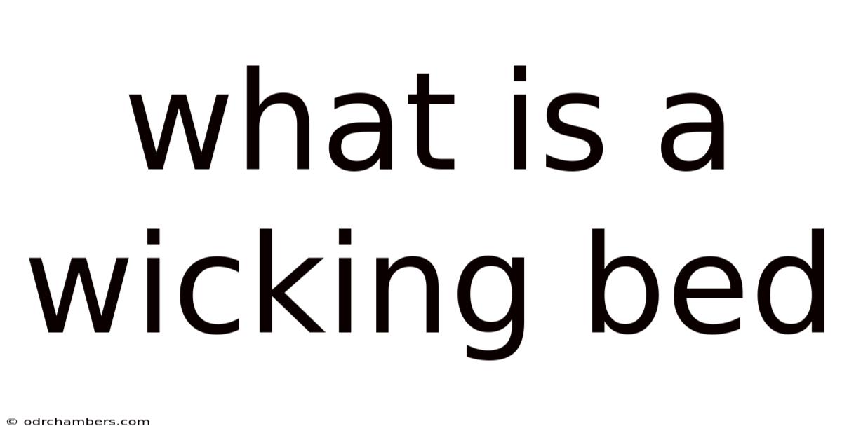 What Is A Wicking Bed