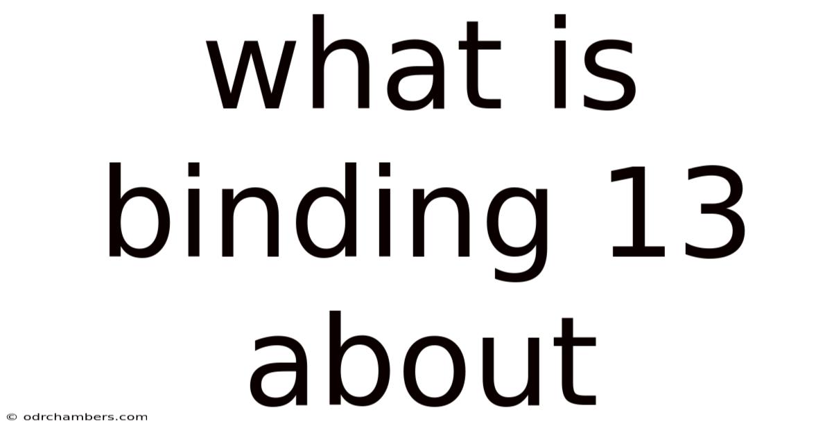 What Is Binding 13 About