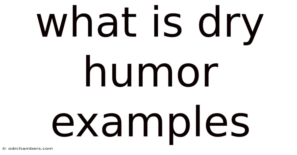 What Is Dry Humor Examples