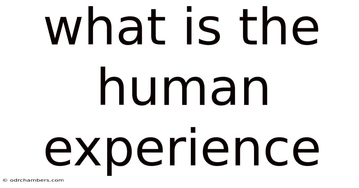 What Is The Human Experience