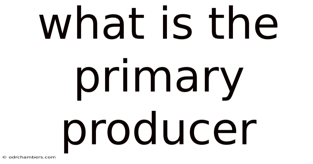 What Is The Primary Producer
