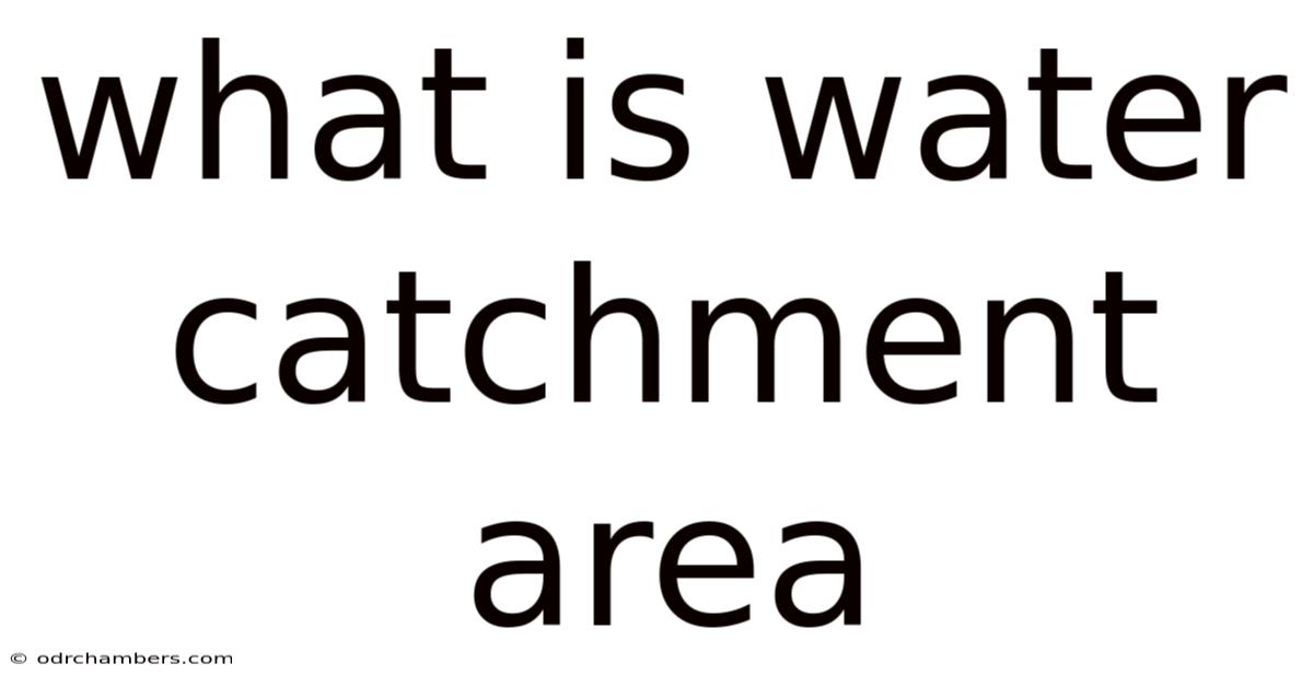 What Is Water Catchment Area