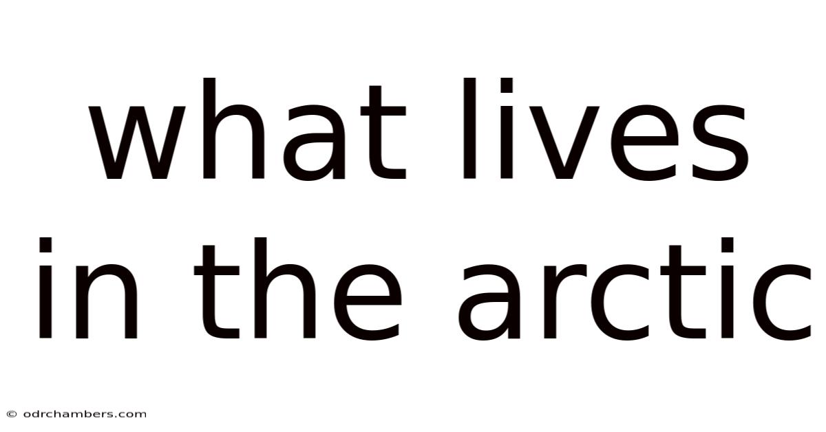 What Lives In The Arctic