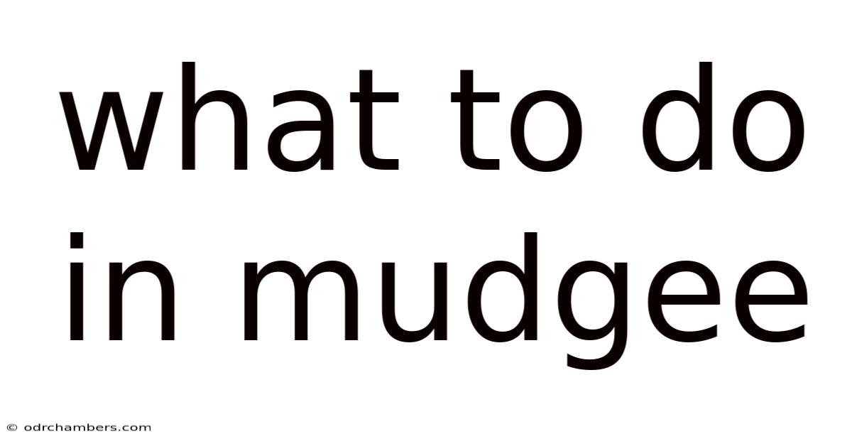 What To Do In Mudgee