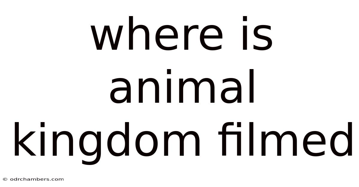 Where Is Animal Kingdom Filmed