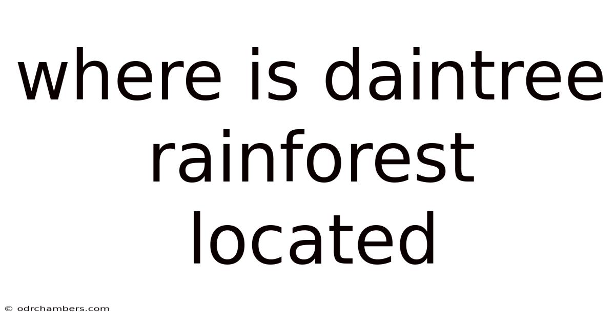 Where Is Daintree Rainforest Located