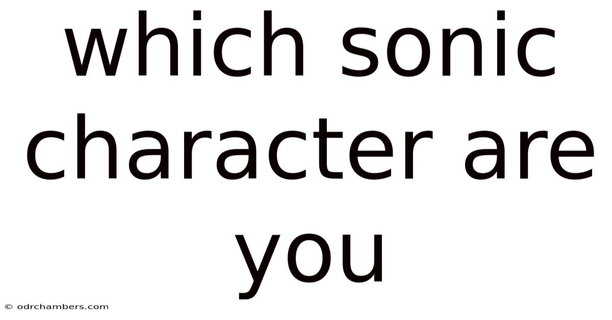 Which Sonic Character Are You