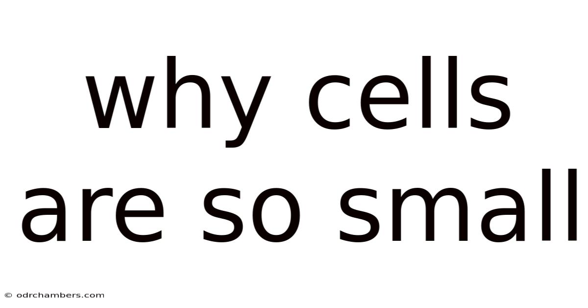 Why Cells Are So Small