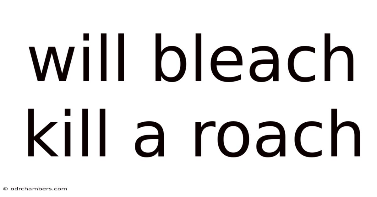 Will Bleach Kill A Roach