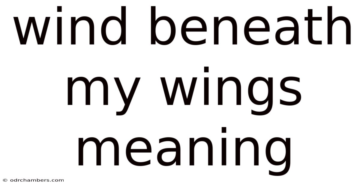 Wind Beneath My Wings Meaning